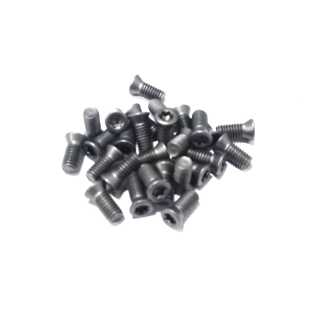 TORNILLO TSB-30070 (PARA WC..05)