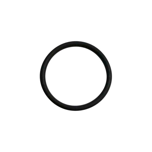 O-RING 058519 25