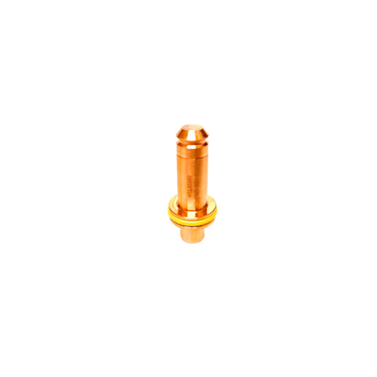 ELECTRODO 100A 120589