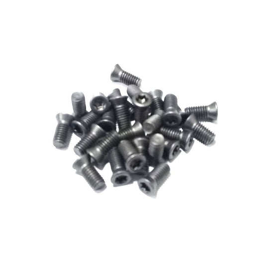 TORNILLO TSB-30070 (PARA WC..05)
